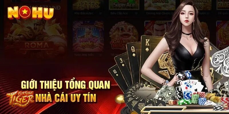 Fortune Tiger Slot - Introduction To The Fortune Tiger Slot Environment
