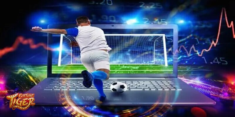Fortune Tiger Sports - Exploring Exciting Sports Categories On Fortune Tiger