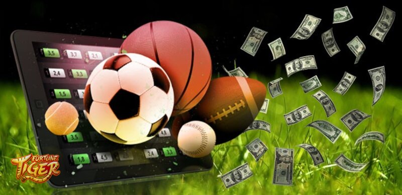 Fortune Tiger Sports - Following Live Matches With Fast Updates