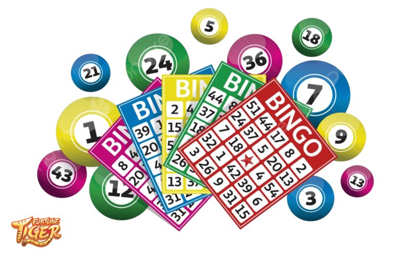 Lottery Fortune Tiger - Why Lottery Fortune Tiger Attracts Users